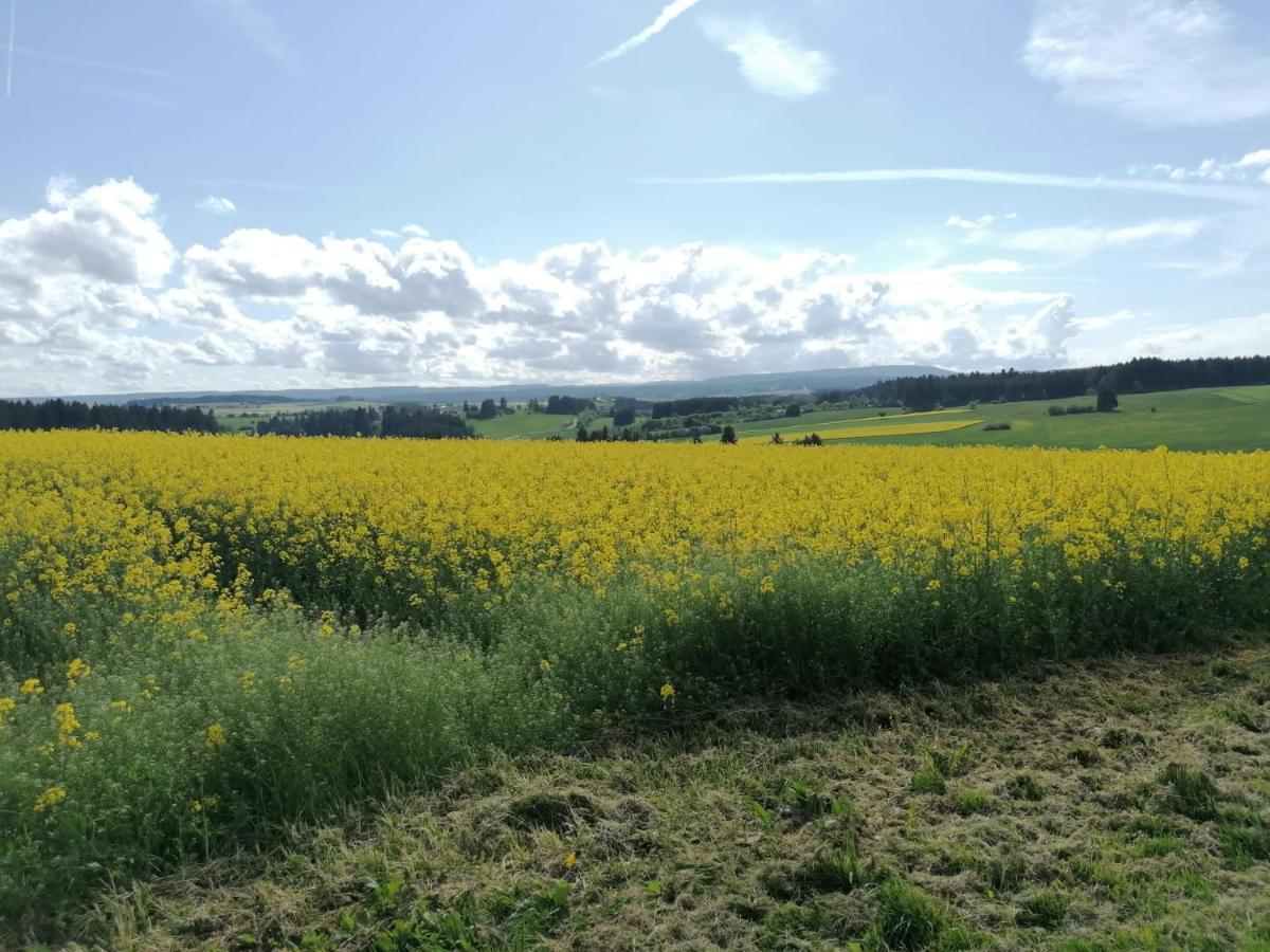 Ferienwohnung Hasenfratz Löffingen 外观 照片