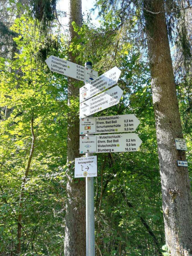 Ferienwohnung Hasenfratz Löffingen 外观 照片