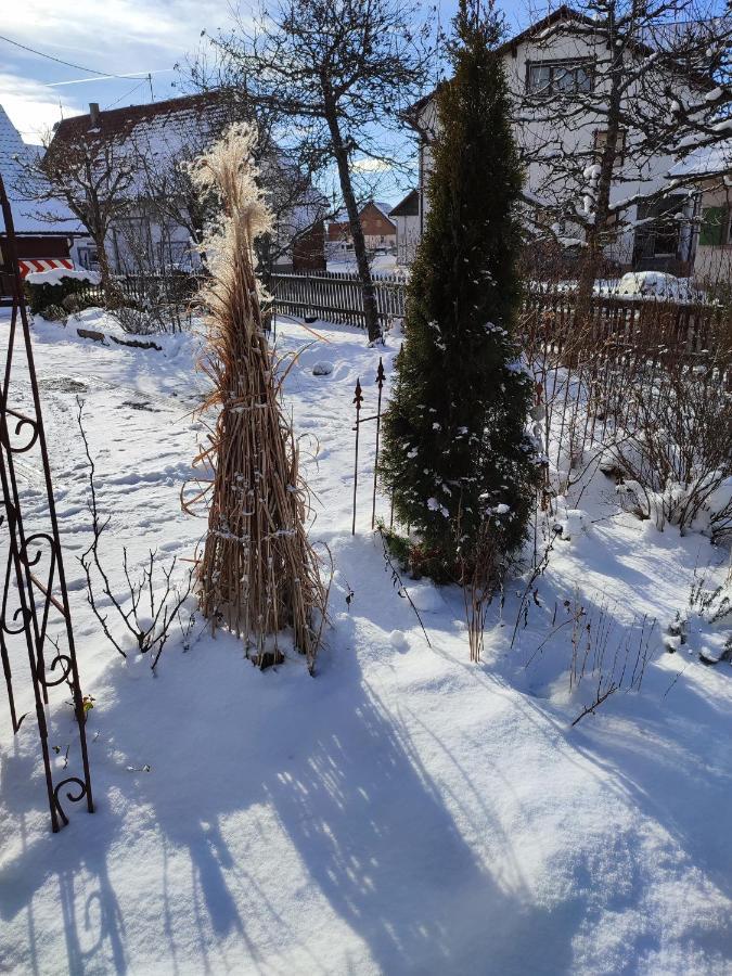 Ferienwohnung Hasenfratz Löffingen 外观 照片